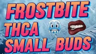 🥶 Frostbite from THCA Small Buds is it any good? 🧐#freetheplant 