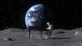Vennootschap - If Love Could Have Saved You (2025) (4K Tunez UK)