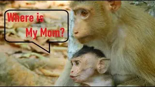 Poor Baby Dustin Crying Seizures Call Mom Diamond to Pick Dustin But Mom Not Show Up Only Rose Cares