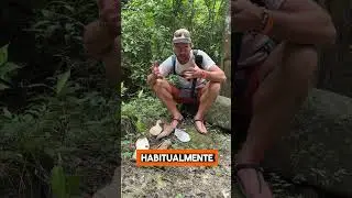 Calzado de monta&ntilde;a despegado