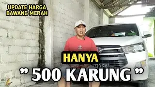 HANYA 500 KARUNG | UPDATE HARGA BAWANG MERAH BJM CHANNEL 
