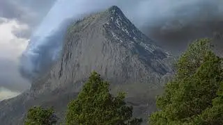 Kvamshestane