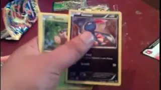 Pokemon Chesnaught EX Collector's Promo Tin & Pack Opening