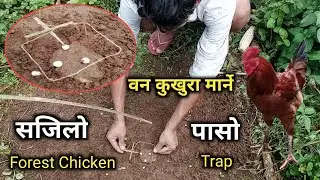 वन कुखुरा मार्ने सजिलाे तरिका _ Ban Kukhura Marne Tarika