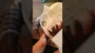 Shark Puppet Makes Waffles