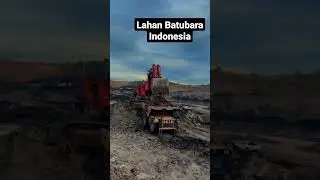 luasnya Lahan batubara di indonesia #tambangbatubara #alatberat #heavyequipment #batubara