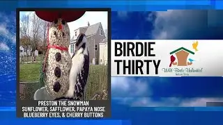 BIRDIE THIRTY: 