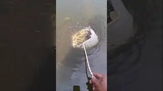 MENANGKAP IKAN KECIL KECIL PAKAI SEROKAN