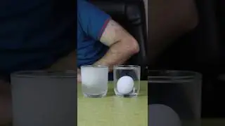 Floating Egg Hack | Egg Floats in Salt Water, Sinks in Normal Water #shorts #xperify