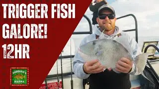 Рыбалка на спинорогов! Морская рыбалка в водах Мексиканского залива | Экстремальная 12-часовая ры...