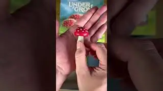 🍄Undergrove | Board Game | Unboxing🍄 #unboxing #boardgames