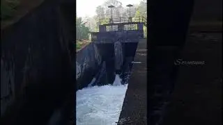 Vaazhakkunnam#canal#nature#water#canalwater#