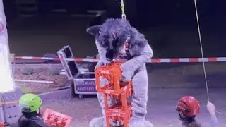 Furciety 2025 - Mittwoch 7.5.