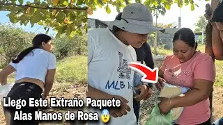 Hay Dios Mio Rosa Recibio Este Paquete Sin Imaginar Que Delmi Terminara Con Esta Reaccion🤬