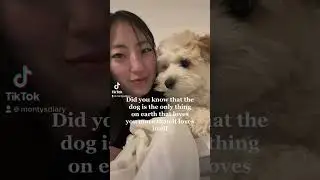 We all need a dog 💖🐾