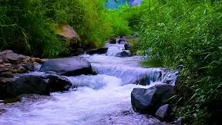 Peaceful Mountain River Flowing Water Sounds for Deep, Undisturbed and Restful Sleep