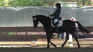 Apfelkorn & Hope Chacon - 3rd Level Test 3 - ICC Spring Rated Show 2019