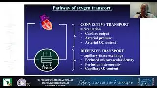 Creteur Effects of fluids on microcirculation