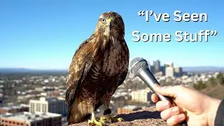 Funniest AI Interviews with Talking Animals, Unexpected and Brutally Honest Answers!!