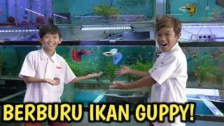 DRAMA BERBURU IKAN GUPPY DI PASAR BARENG OKEM!!
