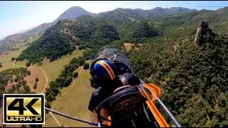AMAZING - 