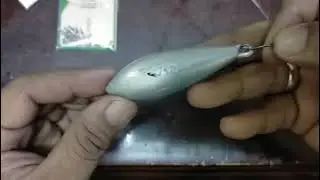 CARA TERBAIK PERAMBUT UNTUK MEMANCING IKAN TEBAL PIPI