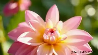 &ldquo;Beautiful Pink Dahlia in 16K Ultra HD | Soft Pastel Flower Macro with Morning Dew & Dreamy Light&rdquo;