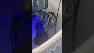 &laquo;Пуля попала в педаль газа, и она застряла, офицер&raquo;.