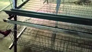 chicken cage assemble
