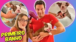 PRIMEIRO BANHO DA NOSSA CACHORRINHA! SERÁ QUE DEU CERTO? ELA GOSTOU?