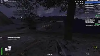 rtcw any % runs