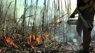 Fire! Promo Video
