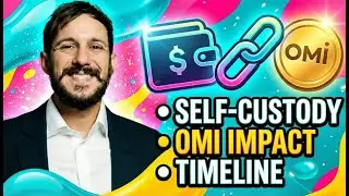 Collect Chain x VeVe: всё, что вам нужно знать за 11 минут