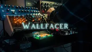 Wallfacer - DAWless Jam (Bree6, Deluge, Moog Sound Studio, Taiga, NYX, Mono Lancet, Zoia) Ambient