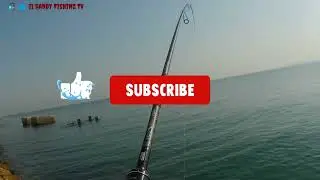 Soft Bait Fishing Saudi Arabia 🎣🐟 II Randy Fishing TV.
