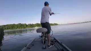 conowingo frog fishing