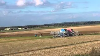 Extremely fast Hare Rabbit running Duxford  20Sep15 447p