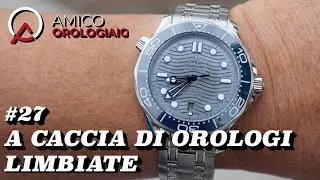 #27 Limbiate