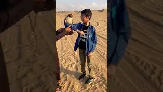 Falcon Or Shaheen | National bird of UAE #shorts #ytshorts #falcon #viral #birds