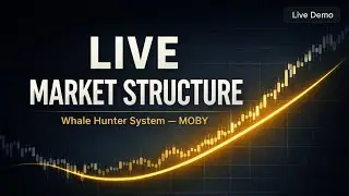 Real Time Algorithmic Market Framework (MOBY Demo)