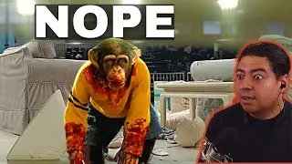 Nope Reaction (Why Did That Monkey Commit That Insane Act??) 😱