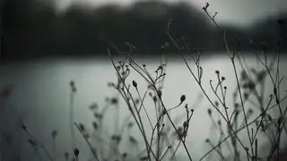 Coldplay - Viva La Vida (slowed + reverb) + (muffled)