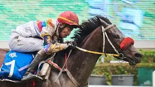 SAY IT SO - 17/01/2026 - Race 8 - Country-Bred Class Premium