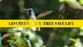 Go Green Plant Trees, Save Life | Eco-Friendly | TRU