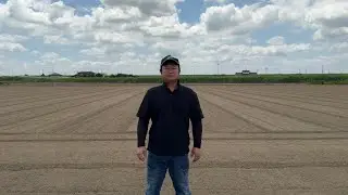 🇯🇵記録的猛暑で米にも異変か！？茨城　25/7/31