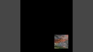 Where Trees Don't Grow in a Line (Underweather Version)