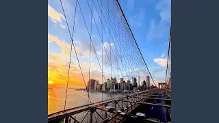 FIVE BOROUGHS