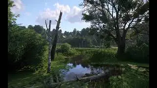 Beautiful Scenery -  Kingdom Come Deliverance II