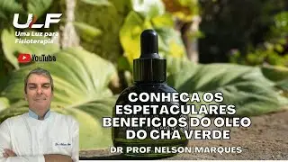 Conhe&ccedil;a os espetaculares benef&iacute;cios do &oacute;leo do Ch&aacute; Verde - Dr Prof Nelson Marques