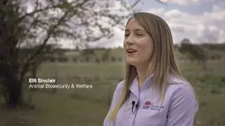 Managing pest animals in drought conditions
